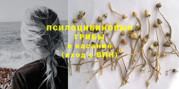 ешки Нея