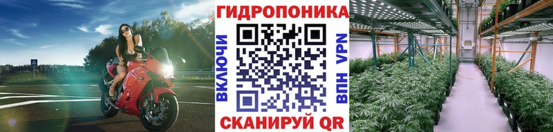 Конопля Amnesia Иноземцево